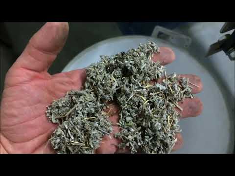 Vibro separator ST II VIBRO - calibration of sage