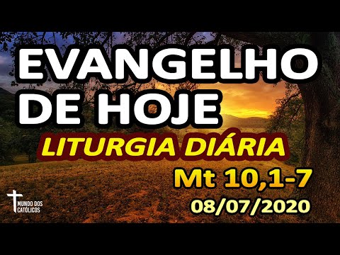 EVANGELHO DE HOJE: Homilia Diária e Reflexão da LITURGIA DIARIA (08/07)
