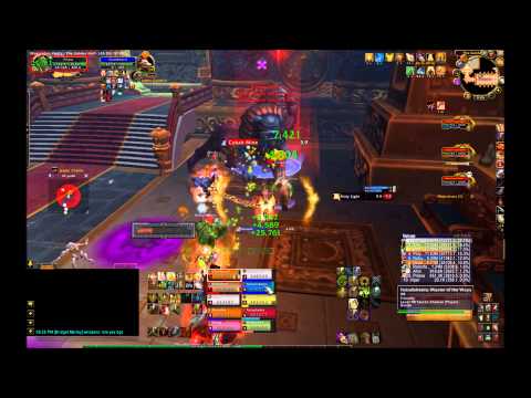 Holy Paladin POV - Stone Guard 10 man