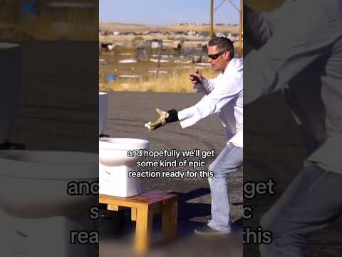 Sodium Metal + Water = 🔥 #science #experiment #scienceexperiment