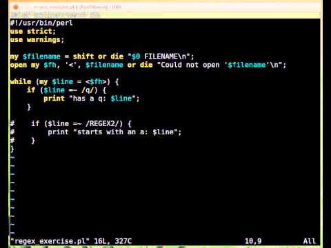Beginner Perl Maven tutorial: 8.14 - solution regexes 1