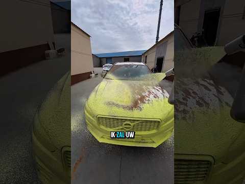 Trash fell on the car&hellip; But the ending was shocking! 🚗😱🧼✨#shorts