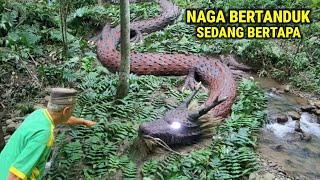 Download lagu Ngeri !! Kakek Pencari Rumput Melihat Langsung Ular Naga Bertanduk Sedang Bertapa Disumber Dandang mp3 Download lagu Ngeri !! Kakek Pencari Rumput Melihat Langsung Ular Naga Bertanduk Sedang Bertapa Disumber Dandang mp3