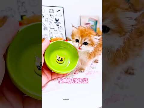 She is so adorable #shortsvideo