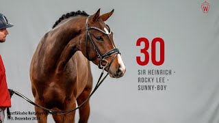 Video of Hengst von Sir Heinrich / Rocky Lee