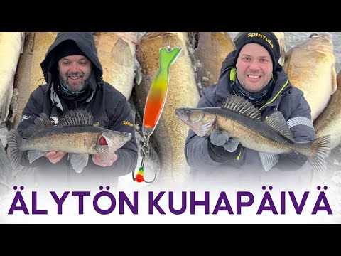8 kuhaa samasta reiästä - Mieletön syönti - Uudet värit testissä - Kuhan pilkintä - @EumerFishing