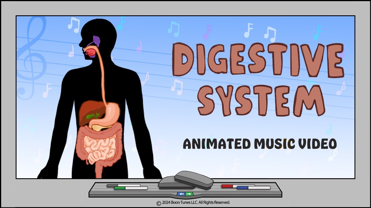 Digestive System | ANIMATED MUSIC VIDEO |