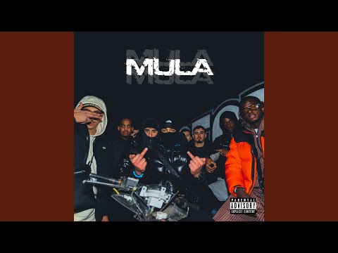 Mula