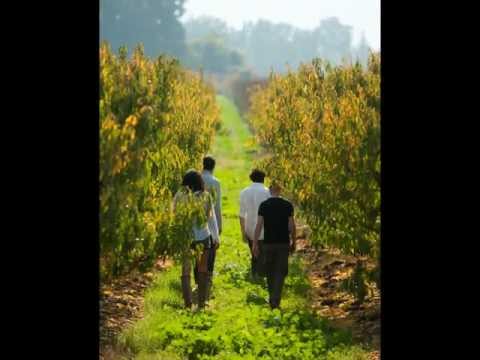 התקווה 6 - קול ישראל - אלבום חדש 2012