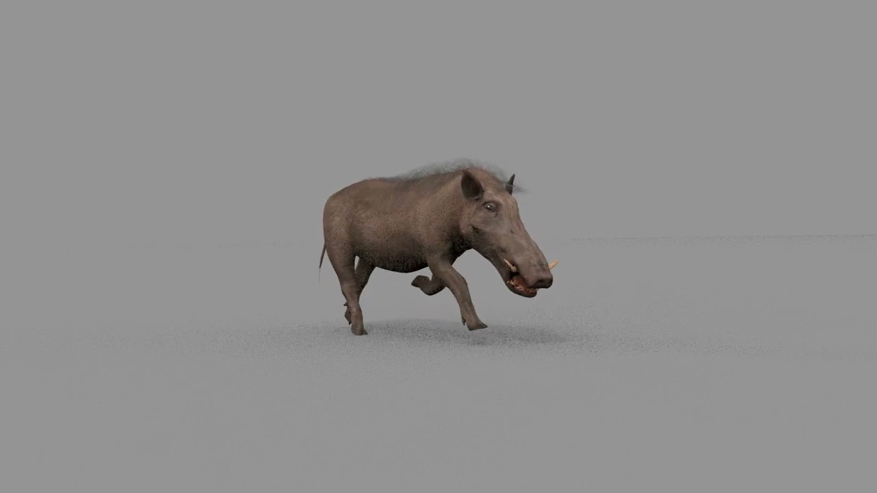 Warthog African pig - animated 3d fur model 3D Model