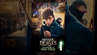 Fantastic Beasts and Where to Find Them