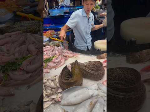 cutting eel fish bite #fish #fish