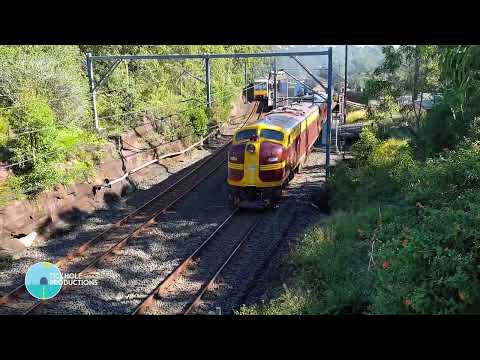 Diesel Locomotives 4204 & 42103 - Riverina Rail Tour - March 2021