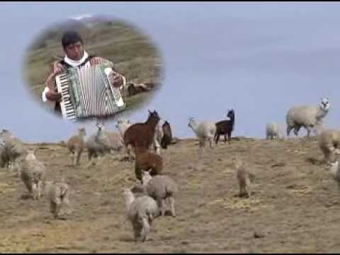 REVELACIÓN ANDINA HUANCAVELICA EMPRESA - UNIÓN ANDINO