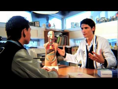 Bassjackers ft. Bizzey - Stronger