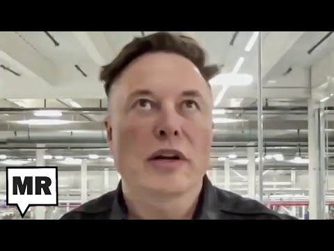 Elon Musk’s Childlike Libertarian Fantasy That Government Is The Biggest Corporation