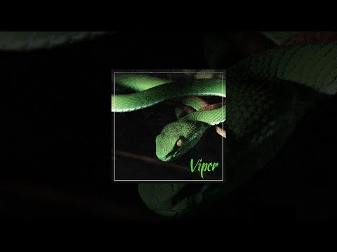 Daniel Tera - Viper