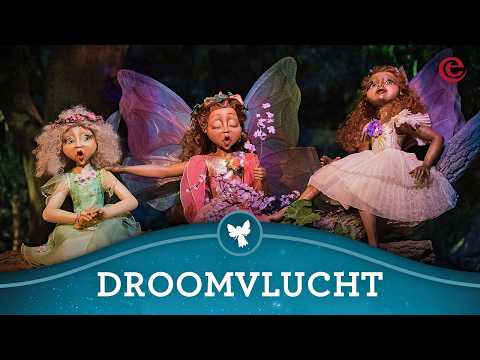 Efteling Onride - Droomvlucht