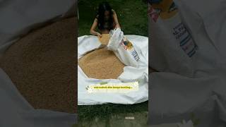 Download lagu Petani Cantik 🌾 Bertani di Desa | Jadiin Status WA Yuk! 😊 #HidupDiDesa #PetaniMilenial #Sawah #Angel mp3 Download lagu Petani Cantik 🌾 Bertani di Desa | Jadiin Status WA Yuk! 😊 #HidupDiDesa #PetaniMilenial #Sawah #Angel mp3