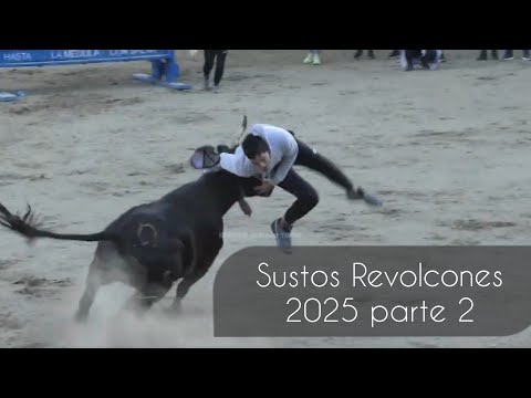 Detallazos, sustos ,Cogidas 2023 y 2024 parte 2 , Alquerias , Alcacer , Castellon y mas