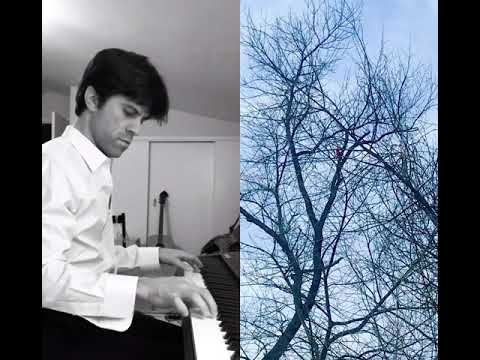 Kevin Bowers - "Treetop Serenade"