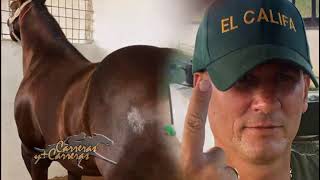 Canción del campeón de los 300 metros en Cuba CALIFA