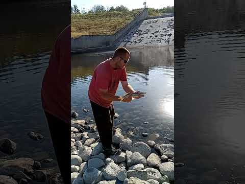 One Last Cast.Fishing A Spillway.Video Coming Soon.
