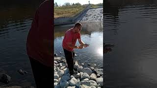 One Last Cast.Fishing A Spillway.Video Coming Soon.