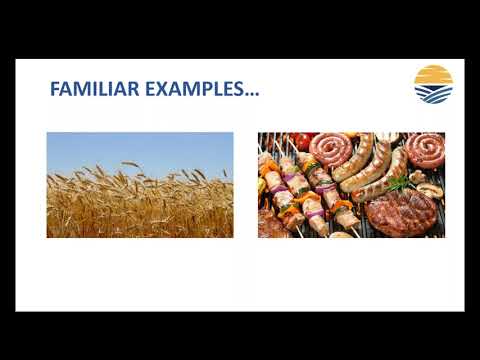 Hidden Forces that Generate Explosive Gains in ANY Market