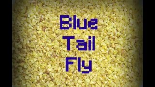 Raxlen Slice - Blue Tail Fly (Jimmy Cracked Corn) (8bit Chiptune)