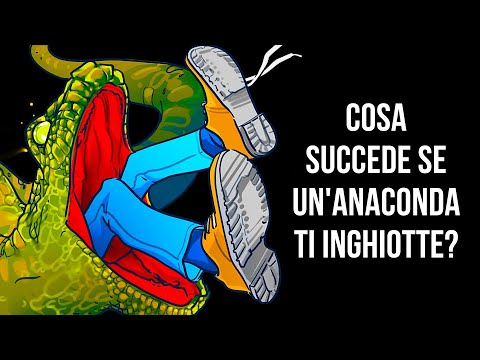 Cosa Proveresti Se Un'Anaconda Gigante Ti Inghiottisse