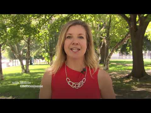 CBC News Toronto - July 04, 2019 [Late Night]