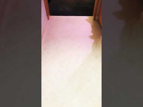 Quarantine in South Korea