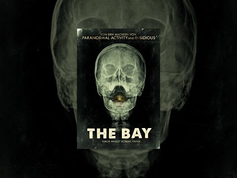 The Bay