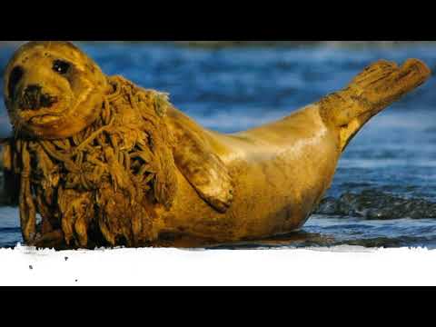 Bethelband Event - deel 2