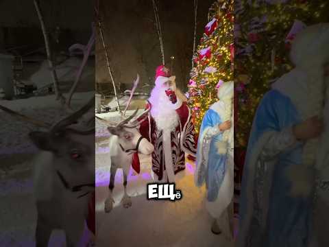 А ты написал письмо Деду Морозу?💌📮🎄🎅🏽🤩❄️
