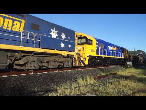 Four NR's and a new repaint 8233 with PN 4NY3 - 18/3/20