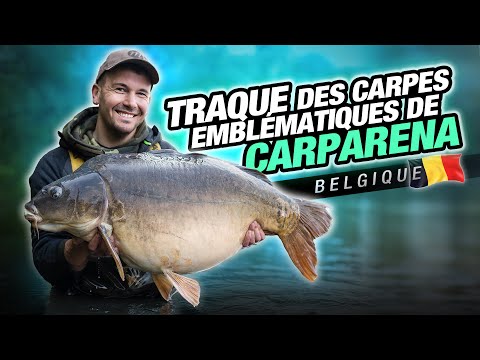 KORDA CARP FISHING FILM:  TRAQUE DES CARPES EMBLÉMATIQUES DE CARPARENA ( Pierre Meyer )