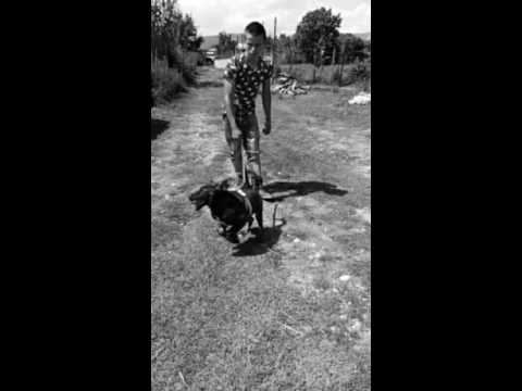 Algert ft Etipret Dosti jem.mp3