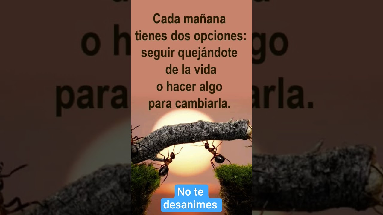 Cada día es un nuevo comienzo!