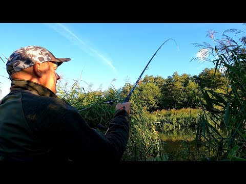 On days like these, they catch MEDAL FISH!!! On the river feeder!!!