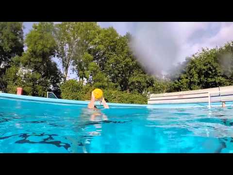 Waterpolo polar bears ede