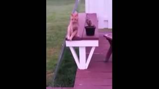 Я тут посижу с вами.