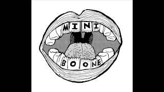 MiniBoone - The Other Summer - The Other Summer 7 Inch