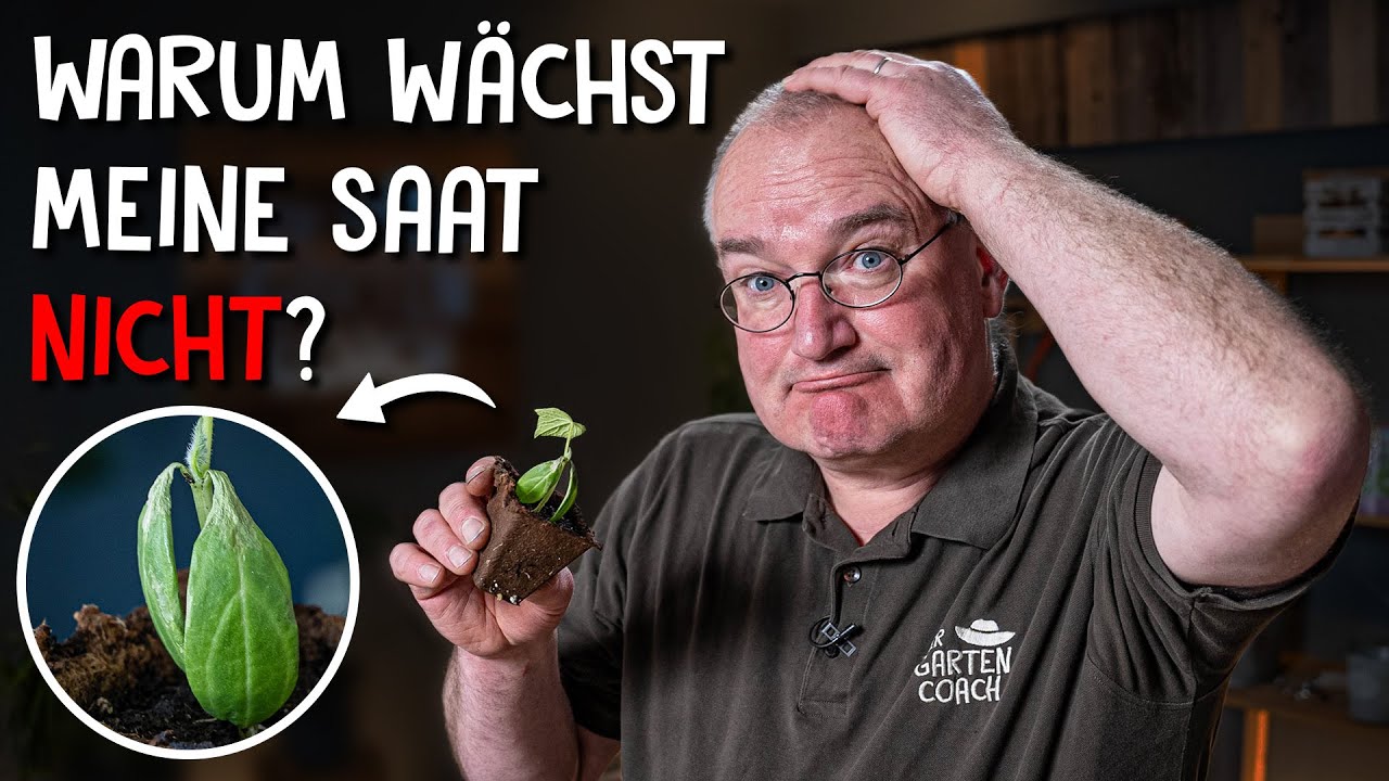 Aussaat und Anzucht Video 3