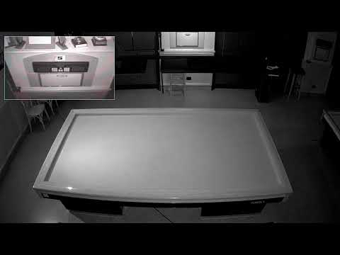 MICHELANGELO ANIELLO