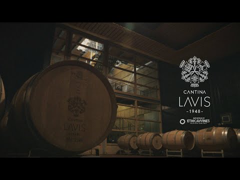 Cantina Lavis & Ethica Wines: L'Eccellenza della Zonazione in Trentino DOC