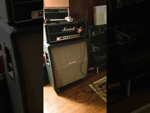 Black Label EKONO DRIVE Shred Test At Chicago Amp Fest 10-10-25 #ammamplified #shred #marshall #amp