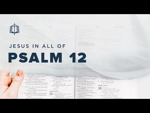 Psalm 12 | No One Is Faithful Anymore | Bible Study