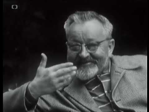 What do you say, Mr. Werich?